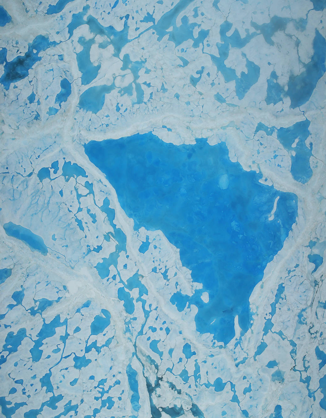 polar image