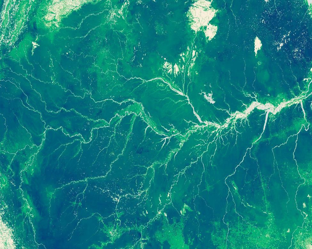 green satellite image