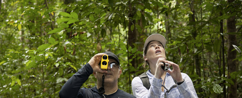 Members of the AfriSAR team, Sassan Saatchi (left) from NASA's Jet Propulsion Laboratory and Laura Duncanson (right) from NASA's Goddard Space Flight Center take measurements of trees in the rainforest in the Mondah National Park, Gabon. CREDIT: NASA/Carla Thomas.